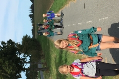 Vandreskjold ulve 2016